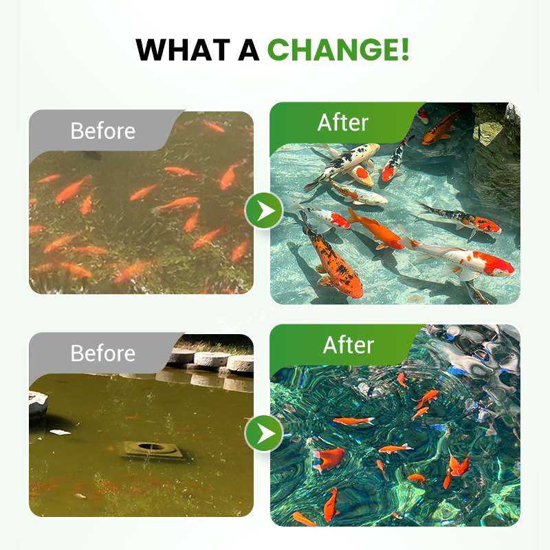 500g Premium Pond Care Powder | Water Clarifier & Algae Control ๐๐๐ฌ