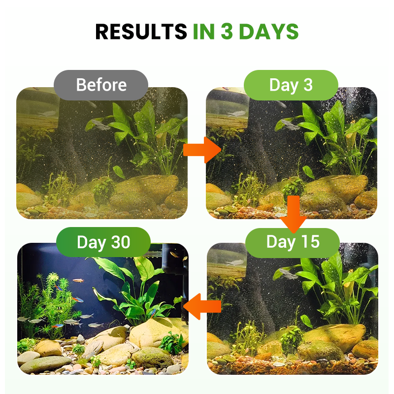 500g Premium Pond Care Powder | Water Clarifier & Algae Control ๐๐๐ฌ
