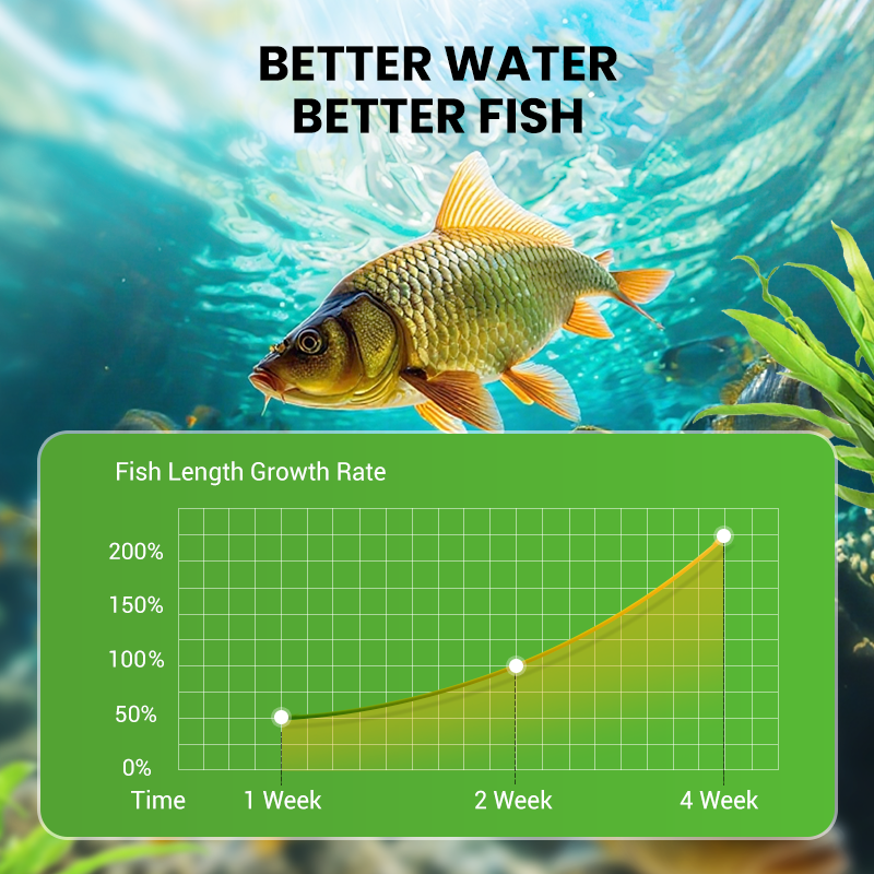 500g Premium Pond Care Powder | Water Clarifier & Algae Control ๐๐๐ฌ