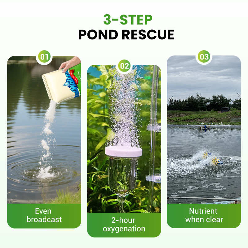 500g Premium Pond Care Powder | Water Clarifier & Algae Control ๐๐๐ฌ