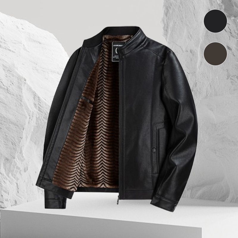 Best Gift- Men’s Fashionable Stand-collar Thickened Warm Leather Jacket