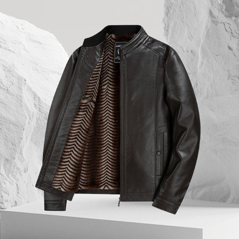 Best Gift- Men’s Fashionable Stand-collar Thickened Warm Leather Jacket