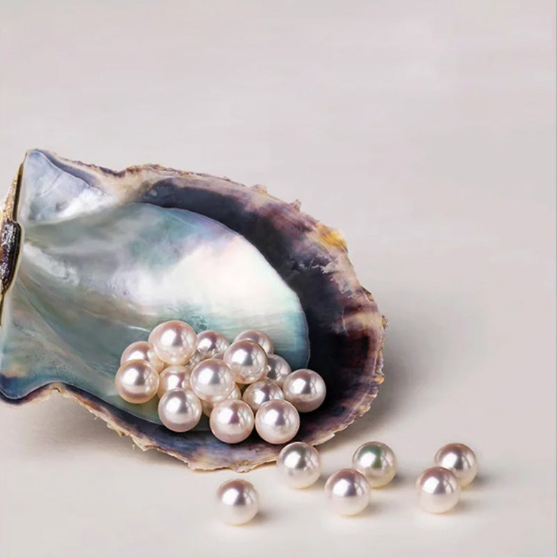 🎁2025 NEW! 🔥Women's High-end Exquisite Handmade Pearl Brooch