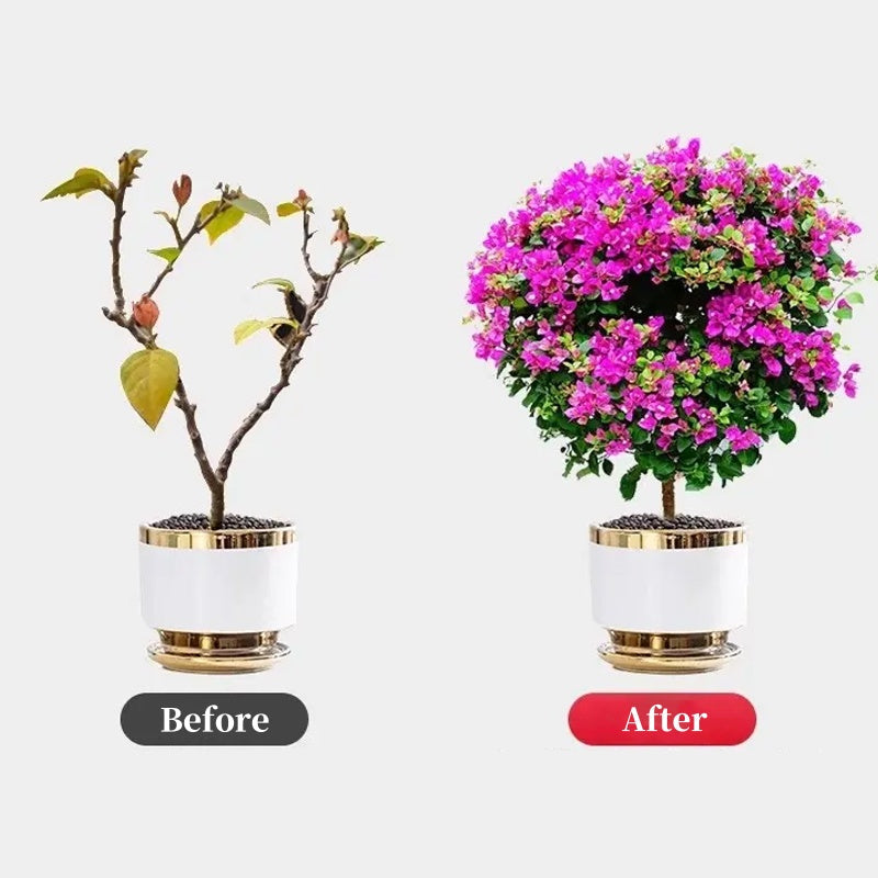 🔥Buy More Get More Free🔥All-Purpose Liquid Plant Fertilizer