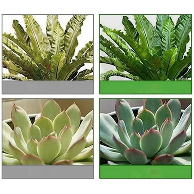 🔥Buy More Get More Free🔥All-Purpose Liquid Plant Fertilizer