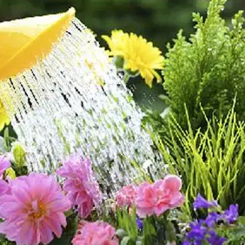 🔥Buy More Get More Free🔥All-Purpose Liquid Plant Fertilizer