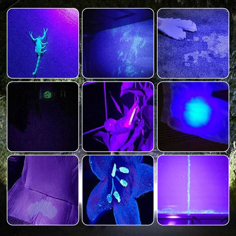🔥HOT SALE🔥Multi-function Mini UV Fluorescent Flashlight