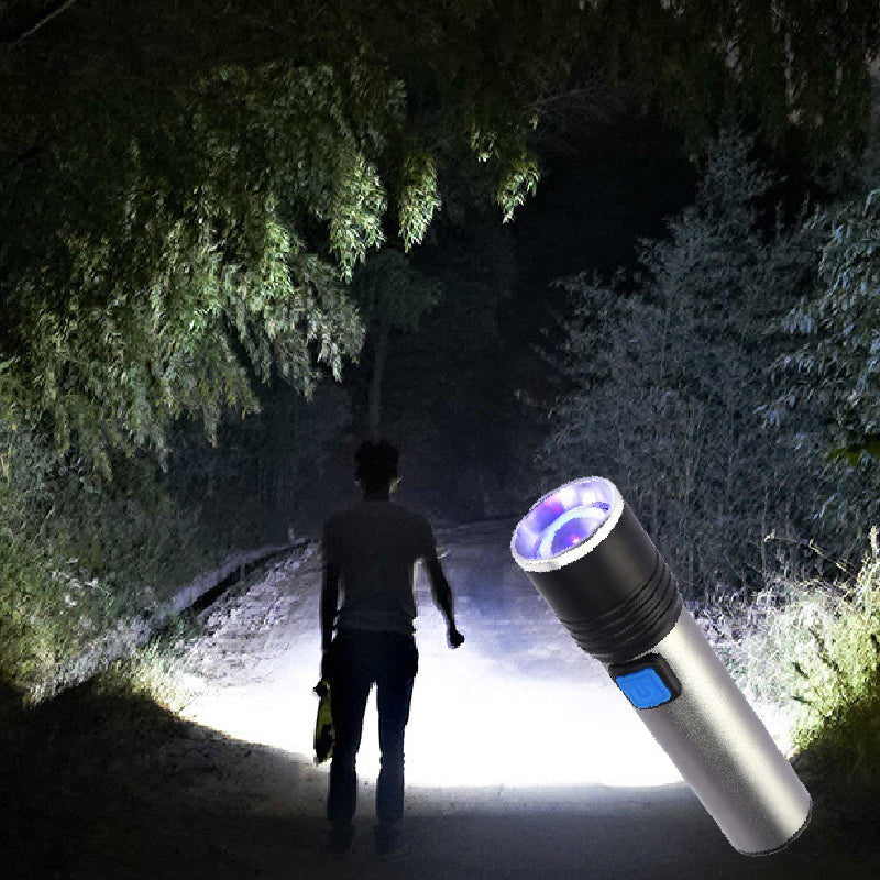 🔥HOT SALE🔥Multi-function Mini UV Fluorescent Flashlight