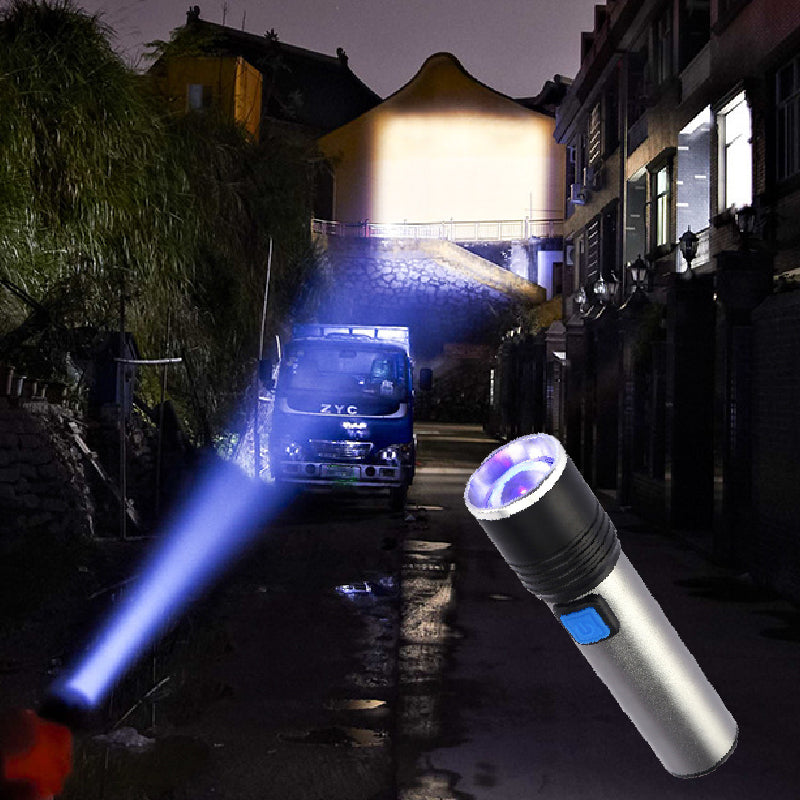 🔥HOT SALE🔥Multi-function Mini UV Fluorescent Flashlight