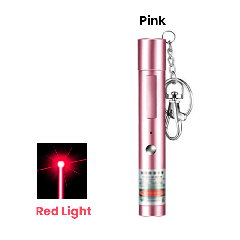 š„HOT SALEš„USB Rechargeable Laser Pointer
