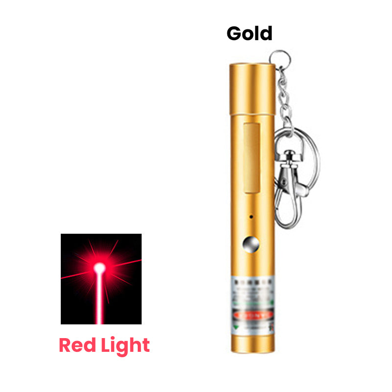 š„HOT SALEš„USB Rechargeable Laser Pointer