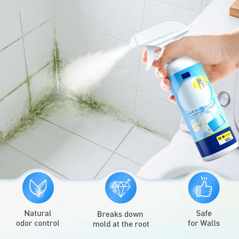 Mold and Mildew Stain Remover Spray