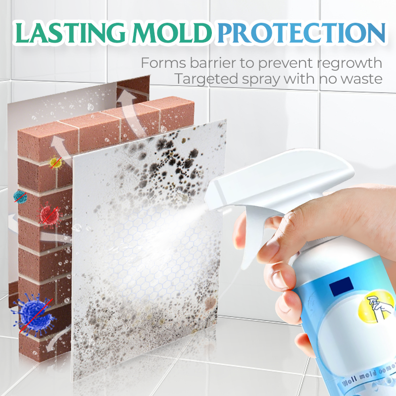 Mold and Mildew Stain Remover Spray