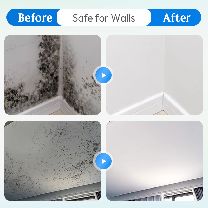 Mold and Mildew Stain Remover Spray