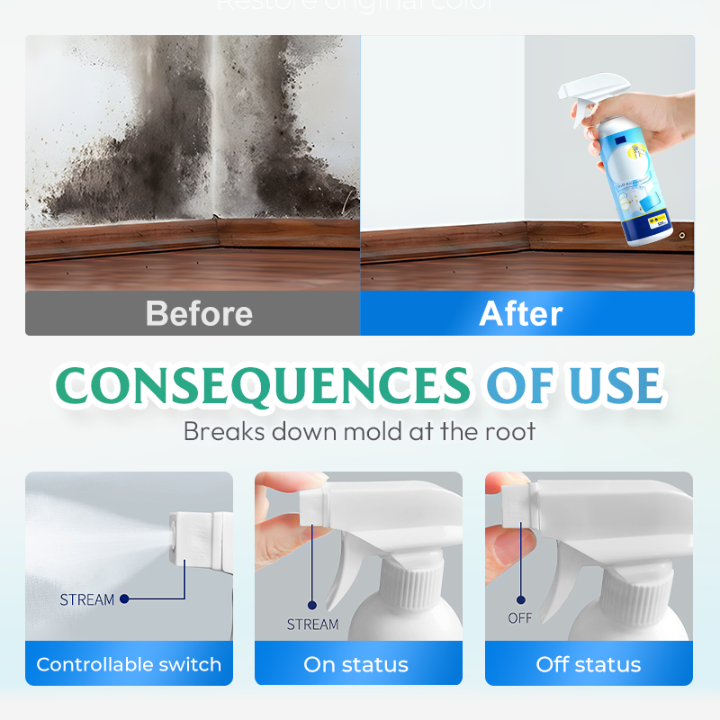 Mold and Mildew Stain Remover Spray