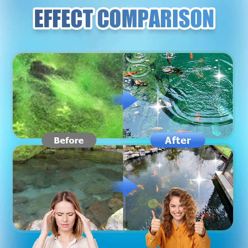 500g Premium Pond Care Powder | Water Clarifier & Algae Control ๐๐๐ฌ