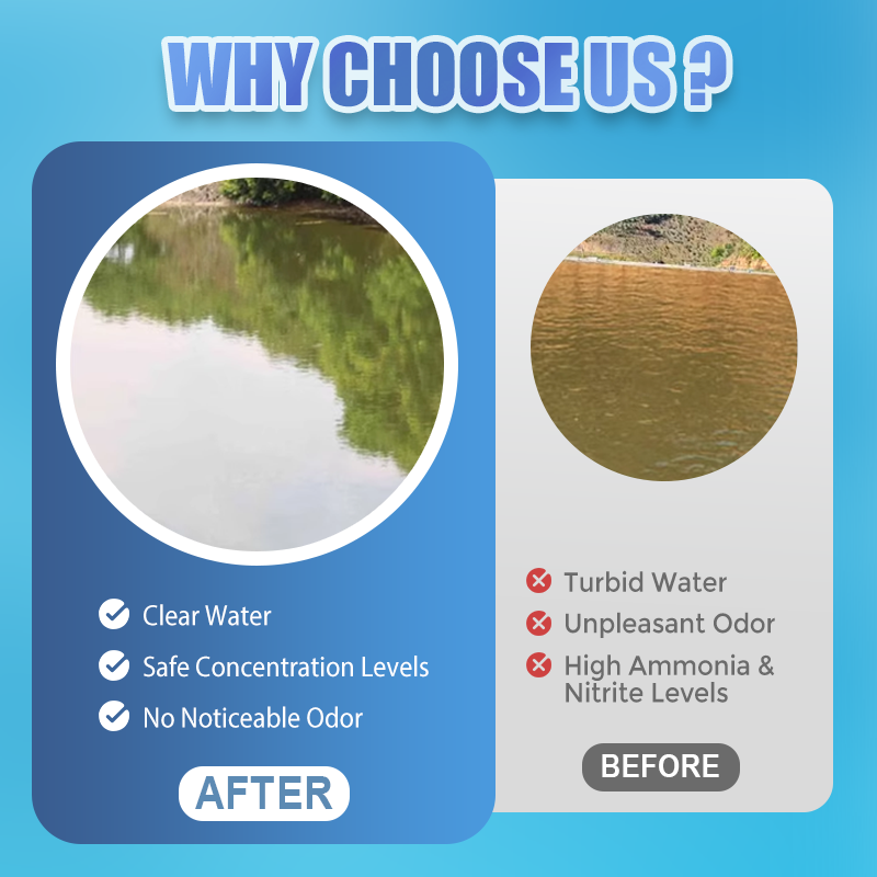 500g Premium Pond Care Powder | Water Clarifier & Algae Control ๐๐๐ฌ