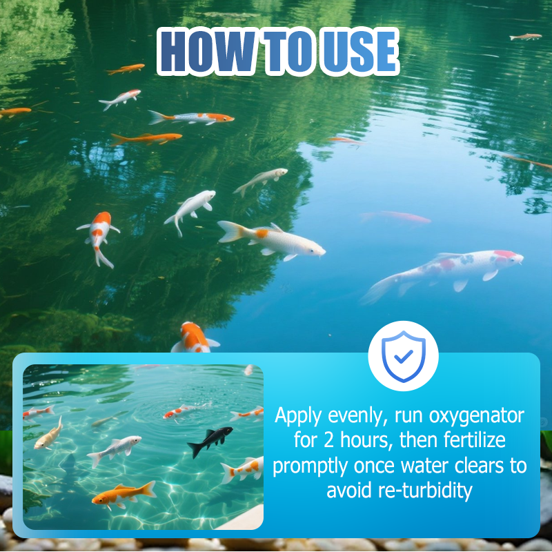 500g Premium Pond Care Powder | Water Clarifier & Algae Control ๐๐๐ฌ