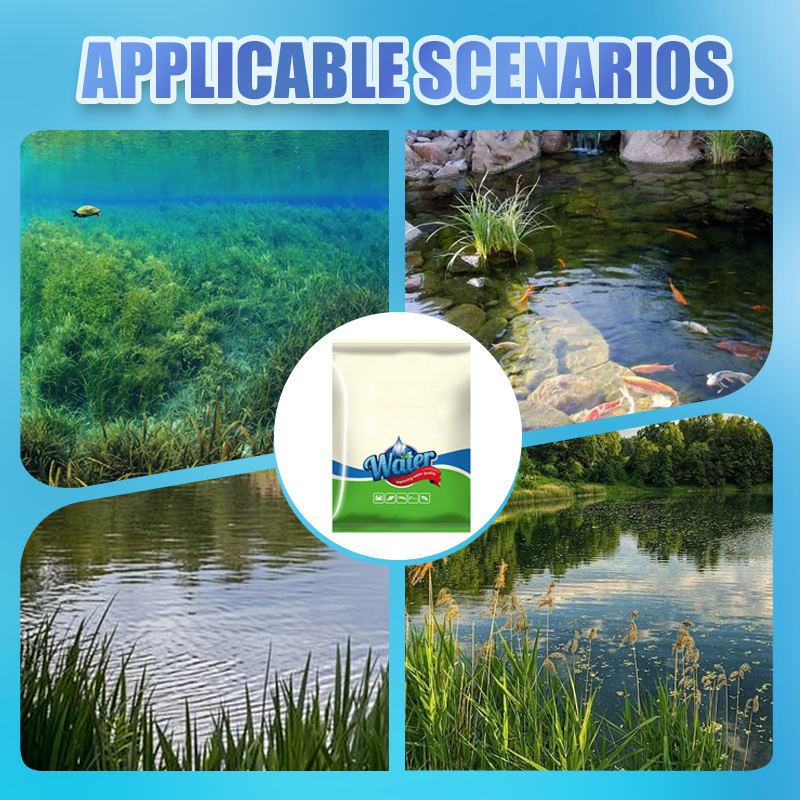 500g Premium Pond Care Powder | Water Clarifier & Algae Control ๐๐๐ฌ
