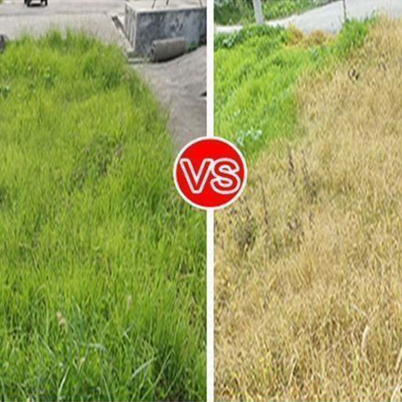 ๐ฟ Weed Annihilator Pro ๐ - Total Root Destruction in 24 Hours! โณโจ