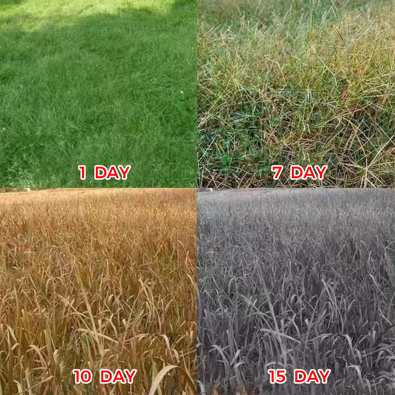 ๐ฟ Weed Annihilator Pro ๐ - Total Root Destruction in 24 Hours! โณโจ