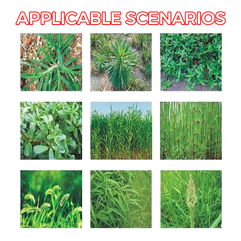 ๐ฟ Weed Annihilator Pro ๐ - Total Root Destruction in 24 Hours! โณโจ