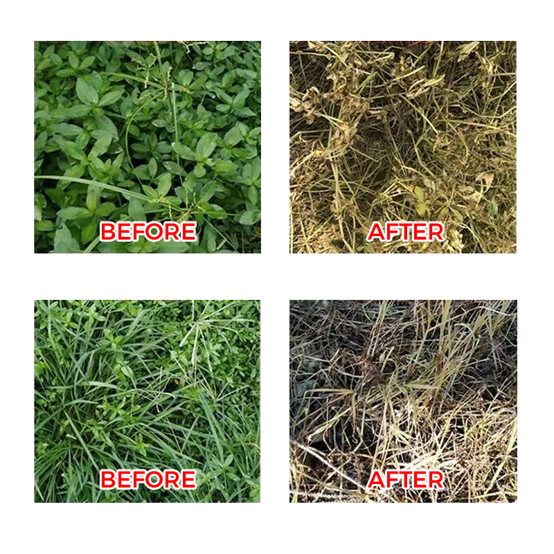 ๐ฟ Weed Annihilator Pro ๐ - Total Root Destruction in 24 Hours! โณโจ