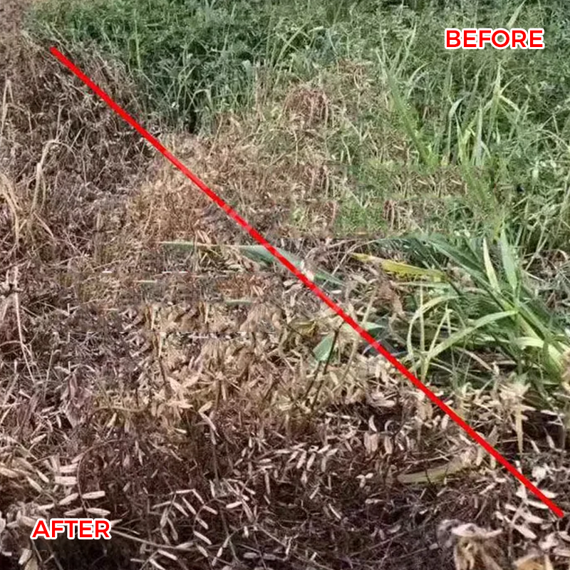 ๐ฟ Weed Annihilator Pro ๐ - Total Root Destruction in 24 Hours! โณโจ