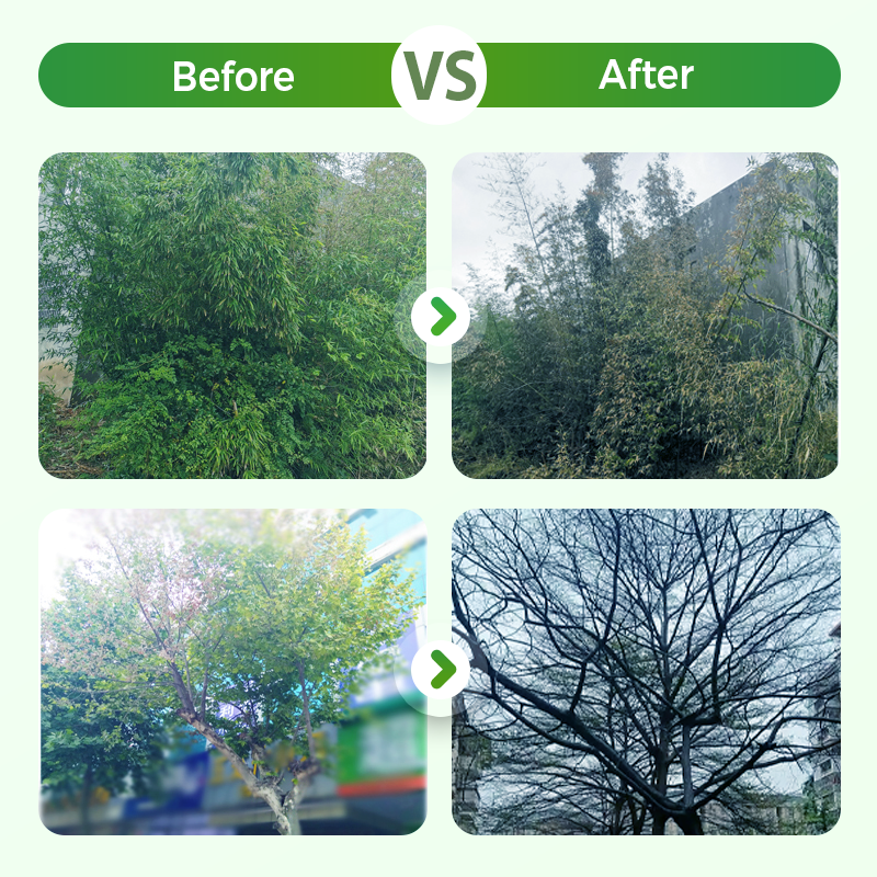 ✅💪Powerful Ready-to-Use Weed & Root Killer|BUY 2 GET 1 FREE🌱