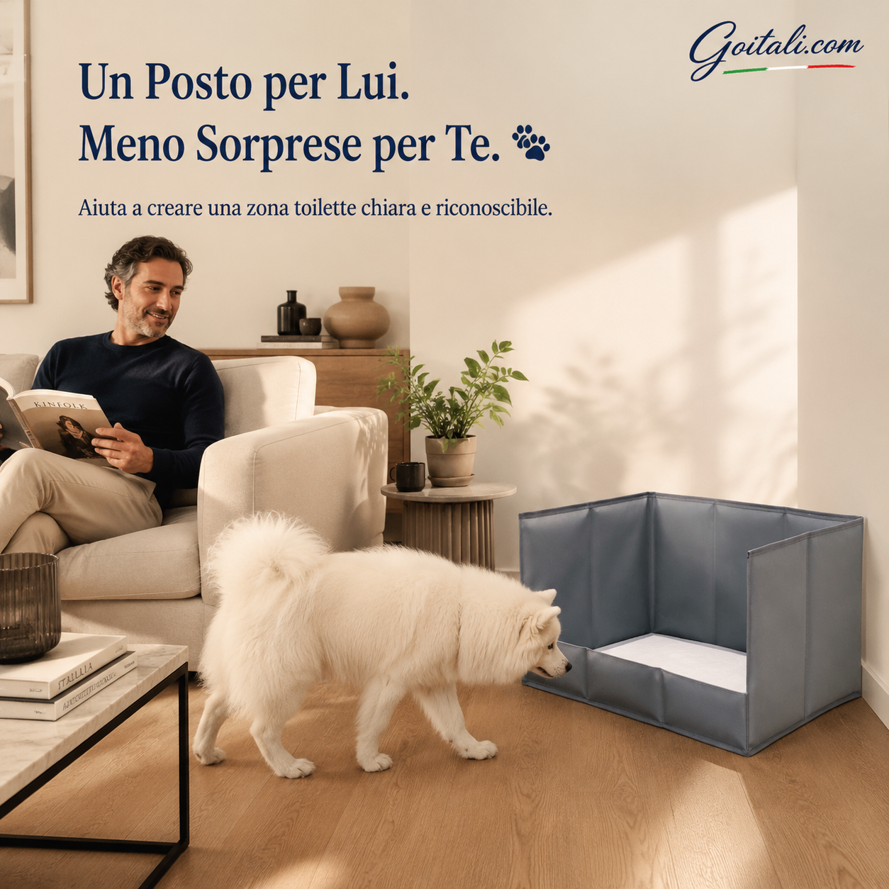 🐾 Toilette per Cani con 3 Pareti Antischizzo ✨ Protegge Pavimento e Pareti, Pieghevole e Salvaspazio