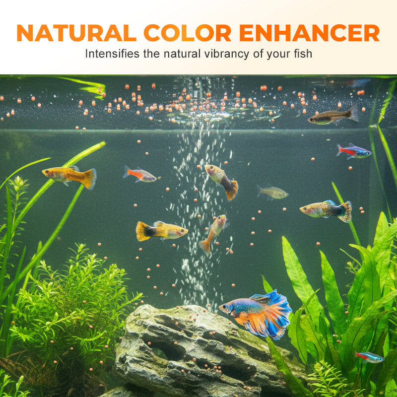 🎄 Encapsulated Brine Shrimp Eggs as Fish Food 🎁 (Ready for immediate consumption by your fish!) ❄️🐟