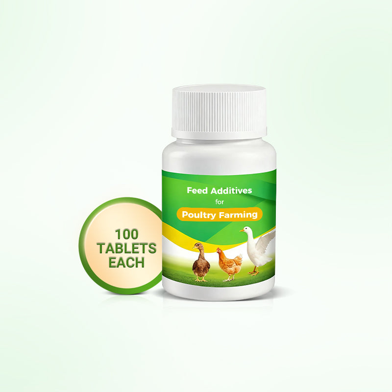 🐔 Poultry Feed Additives 🌿 Boost Immunity & Maximize Growth Naturally! 🚀🐤