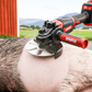 Labor-Saving Pig Hair Remover Scraper Disc