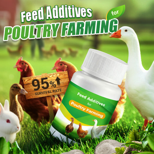 🐔 Poultry Feed Additives 🌿 Boost Immunity & Maximize Growth Naturally! 🚀🐤