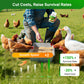 🐔 Poultry Feed Additives 🌿 Boost Immunity & Maximize Growth Naturally! 🚀🐤