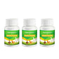 🐔 Poultry Feed Additives 🌿 Boost Immunity & Maximize Growth Naturally! 🚀🐤