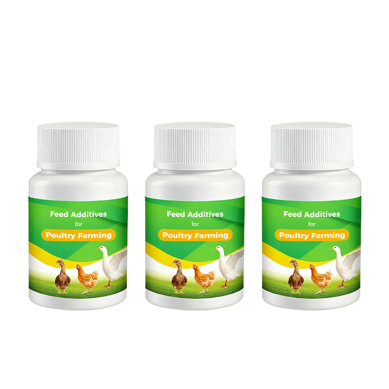 🐔 Poultry Feed Additives 🌿 Boost Immunity & Maximize Growth Naturally! 🚀🐤