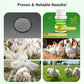 🐔 Poultry Feed Additives 🌿 Boost Immunity & Maximize Growth Naturally! 🚀🐤