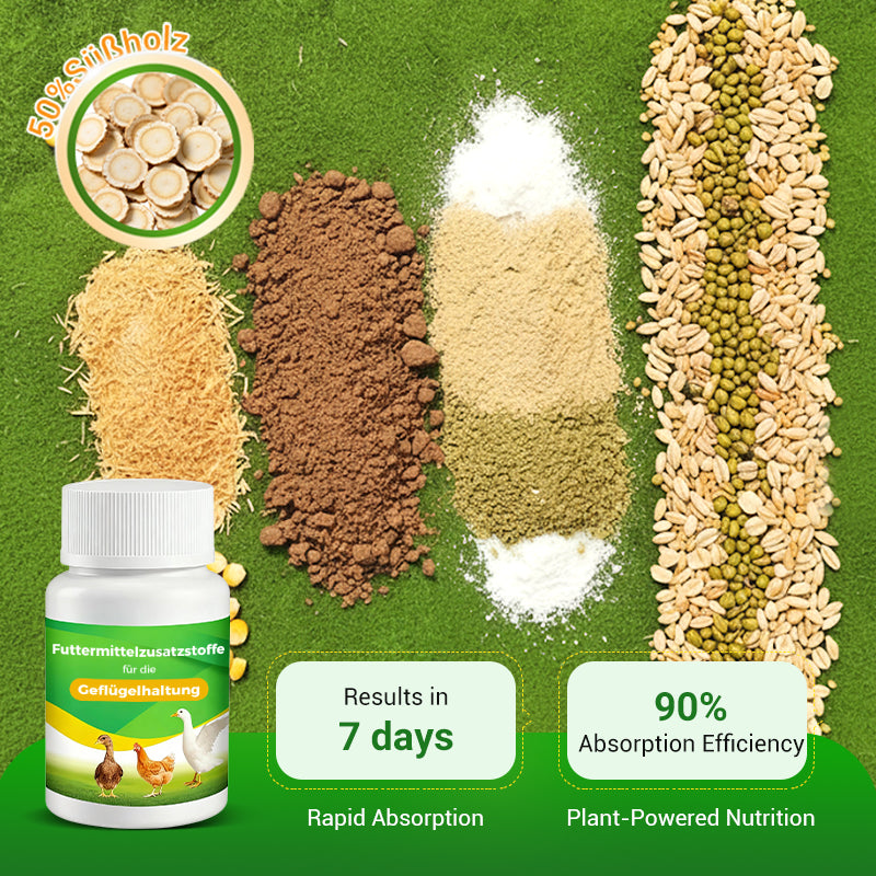 🐔 Poultry Feed Additives 🌿 Boost Immunity & Maximize Growth Naturally! 🚀🐤
