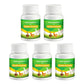 🐔 Poultry Feed Additives 🌿 Boost Immunity & Maximize Growth Naturally! 🚀🐤