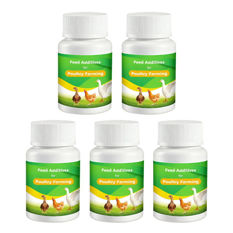 🐔 Poultry Feed Additives 🌿 Boost Immunity & Maximize Growth Naturally! 🚀🐤