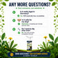 🌿Buy 2 Get 1 Free🎁[Easy and stress-free weeding in the garden] Herbicide for domestic use