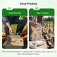 🐔 Poultry Feed Additives 🌿 Boost Immunity & Maximize Growth Naturally! 🚀🐤