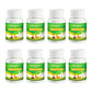 🐔 Poultry Feed Additives 🌿 Boost Immunity & Maximize Growth Naturally! 🚀🐤