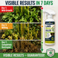 🌿Buy 2 Get 1 Free🎁[Easy and stress-free weeding in the garden] Herbicide for domestic use
