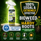 🌿Buy 2 Get 1 Free🎁[Easy and stress-free weeding in the garden] Herbicide for domestic use