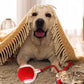 🎁New Hot Sales - 49% OFF🐶Smart Automatic Rolling Pet Ball