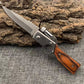 🔥Best-Selling Product🔥Outdoor Stainless Steel Portable Folding Knife🗡️