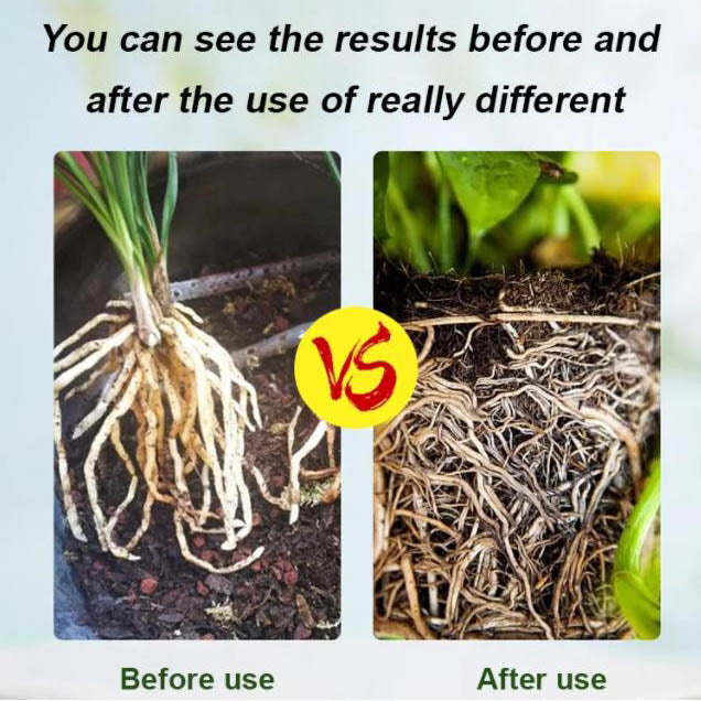 🔥Hot Sales - 50% OFF🎉Strong Rooting Powder Microbial Fertilizer