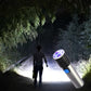 🔥HOT SALE🔥Multi-function Mini UV Fluorescent Flashlight